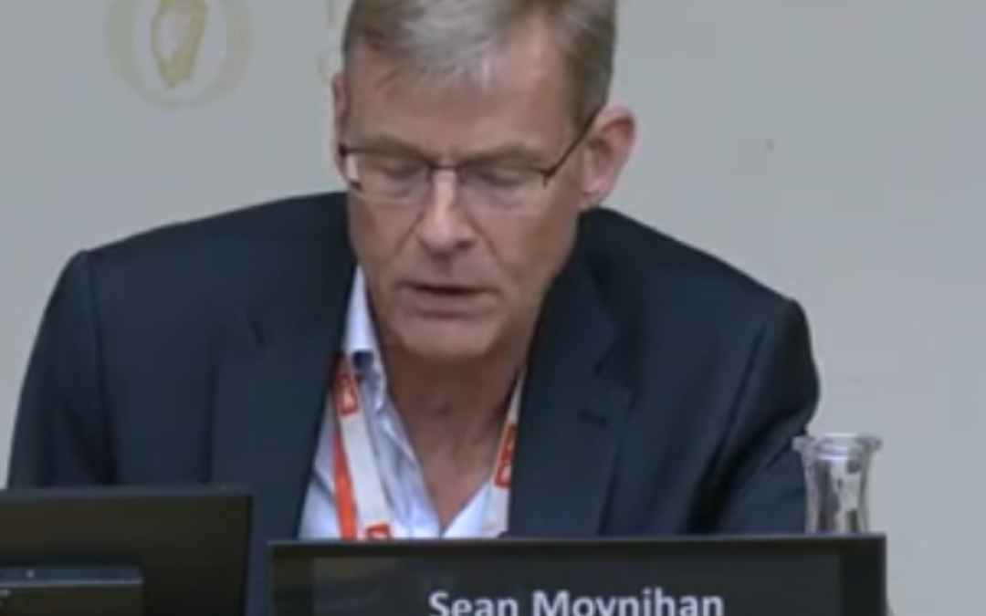 Sean Moynihan, ALONE CEO, speaking at an Oireachtas committee on Pre-Budget Submissions