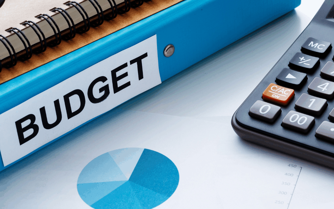 Blue folder labelled "BUDGET" beside glasses, notebook, calculator and financial charts, with ALONE logo
